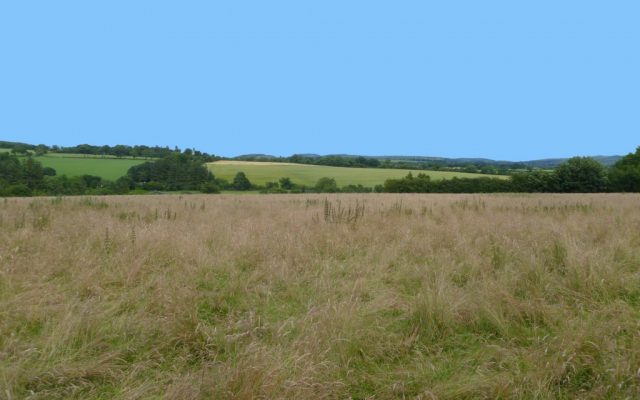 Raheengreany, Clonegal, Co. Wicklow