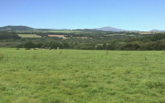 Jamestown, Oylgate, Enniscorthy, Co. Wexford