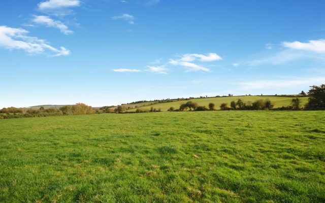 Baltyfarrell, Gorey, Co. Wexford