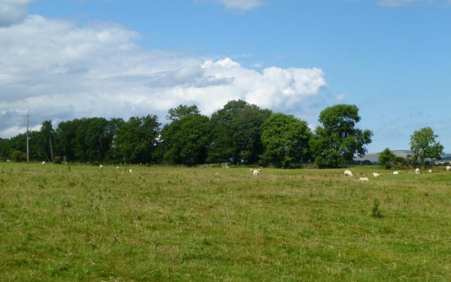 Ballinacarrig, Rathdrum, Co. Wicklow