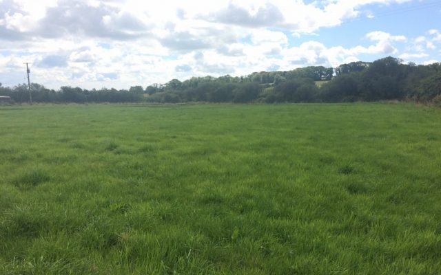 Farmers Journal. Reaction to Increased Stamp Duty on Agricultural Land