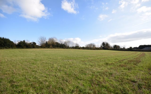 Ballamon, Ferns, Enniscorthy, Co. Wexford. Auction Report.