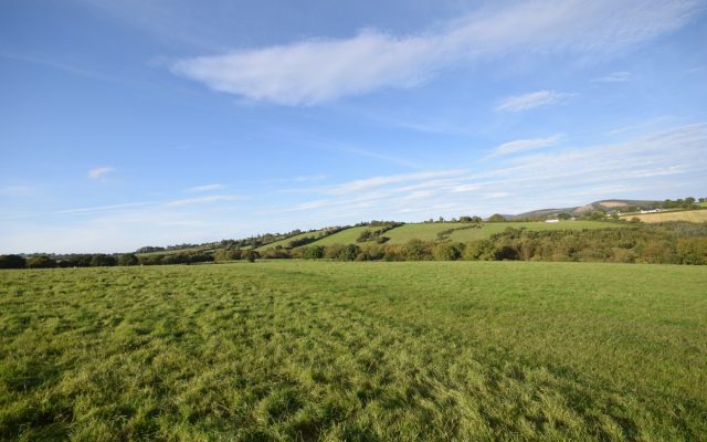 Clonogan & Ballyredmond, Clonegal, Enniscorthy, Co. Wexford. Auction Report.