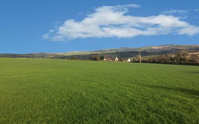 Ballykillageer Lower, Ballycoogue, Arklow, Co. Wicklow. Auction Report.