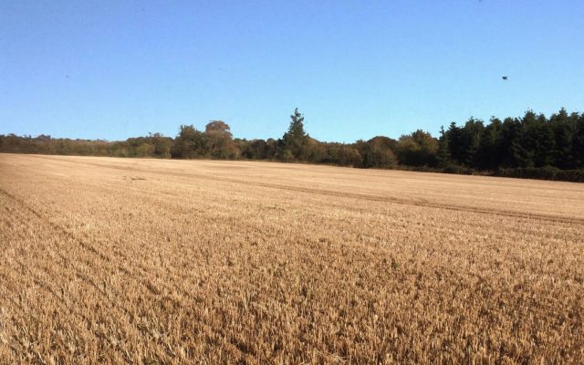 €18,500/acre at Freak Auction in Co Wexford. Irish Farmers Journal 01/03/18.