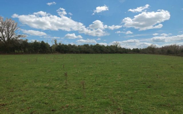 Ballynestragh, Kilanerin, Gorey, Co. Wexford. Auction Report.