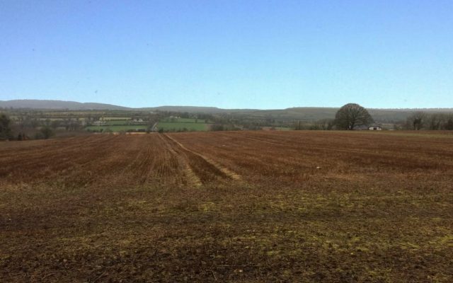 “Prime South-East Tillage Ground Sells For Close On €20,000 per acre”. Irish Independent: Farming Independent. 06/03/18.