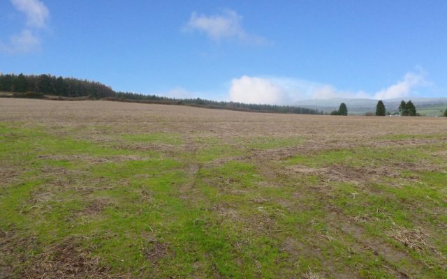 Brideswell, Askamore, Gorey, Co. Wexford. Auction Report