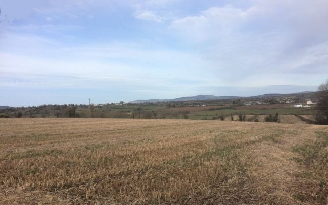 Brideswell Little, Gorey, Co. Wexford. Auction Report.