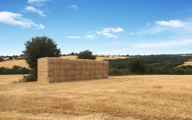 Ballyrahan, Gorey, Co. Wexford. Auction Report.