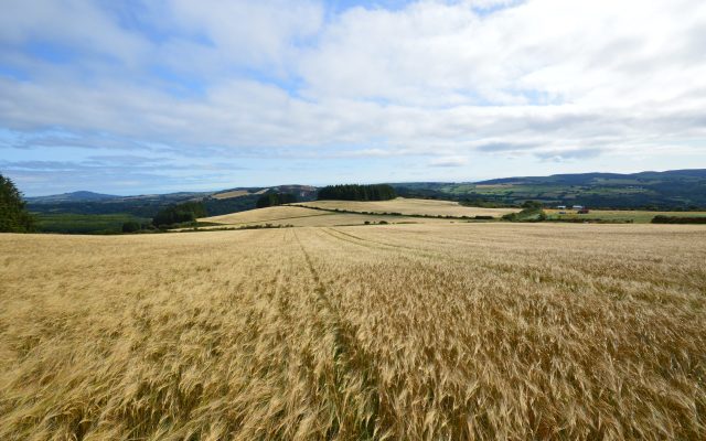 Kilcashel, Avoca, Co. Wicklow