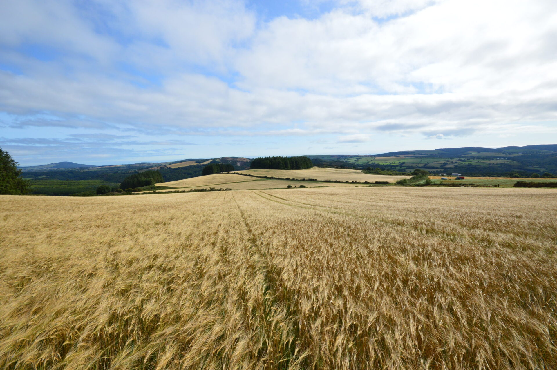 Kilcashel, Avoca, Co. Wicklow Quinn Property