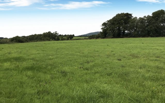 Portrushen Lower, Kiltegan, Co. Wicklow. Auction Report