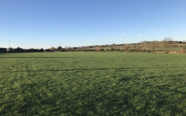 Bolachoir, Tombrack, Ferns, Co. Wexford – Auction Report