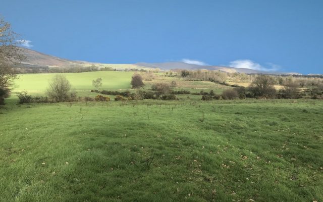 Tinnaclash, Kiltegan, Co. Wicklow. Auction Report