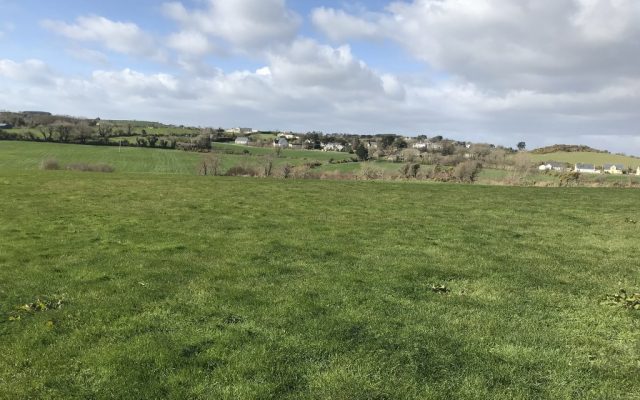 Ballyconnigar, Blackwater, Enniscorthy, Co. Wexford. Auction Report.