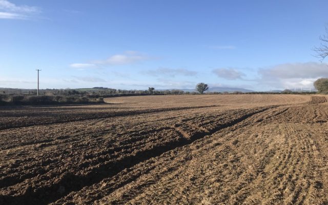 Lodgewood, Ferns, Enniscorthy, Co. Wexford – Auction Report