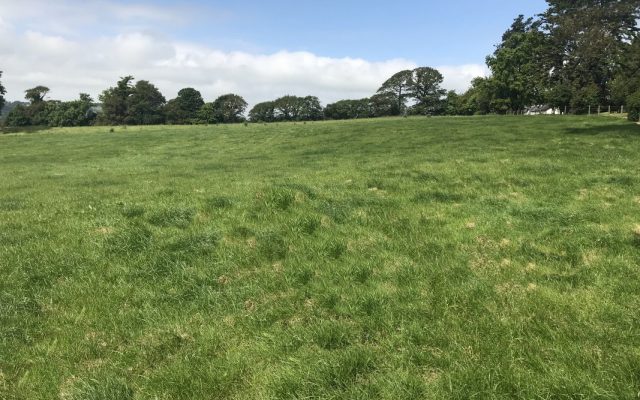 Magheramore, Co. Wicklow – Auction Report