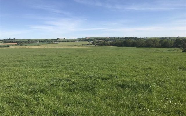 Ballyorley Lower, Ferns, Co. Wexford – Auction Report.