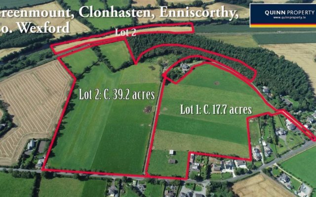 Greenmount, Clonhasten, Enniscorthy, Co. Wexford – Auction Report