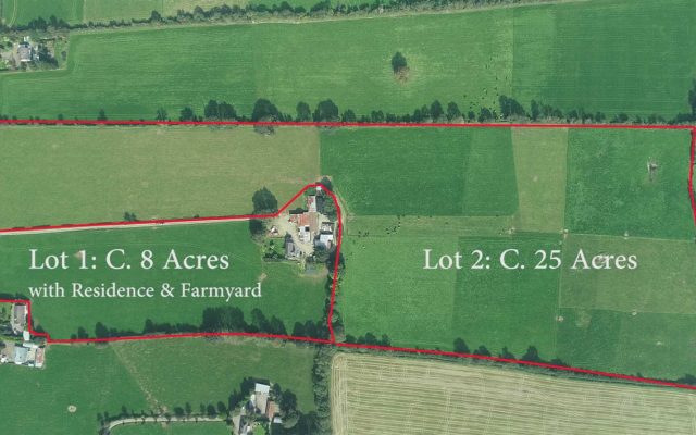 Ballinamona, Leskinfere, Gorey, Co. Wexford – Auction Report