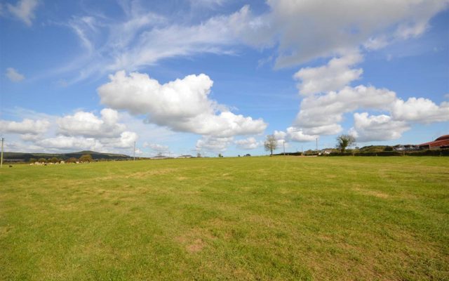 Monagreana Lower, Monamolin, Gorey, Co. Wexford – Auction Report