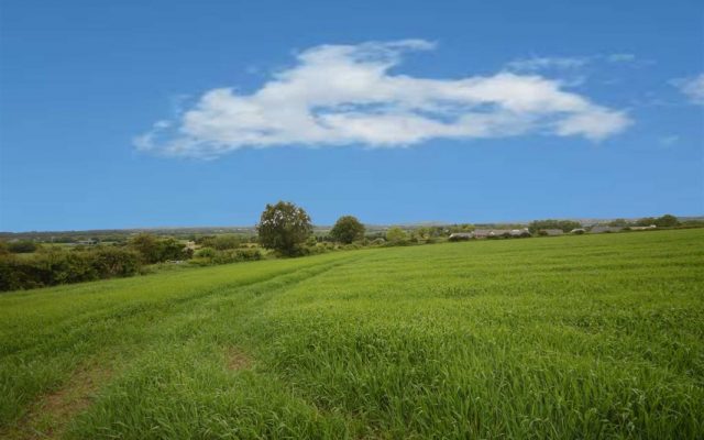 Kilmurry, Gorey, Co. Wexford – Auction Report