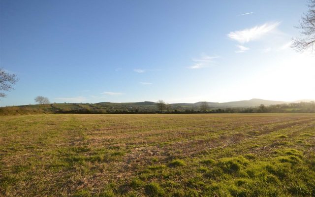 Knockbrandon, Gorey, Co. Wexford – Auction Report