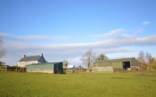 Ballinagilky, Hacketstown, Co Carlow – Auction Report