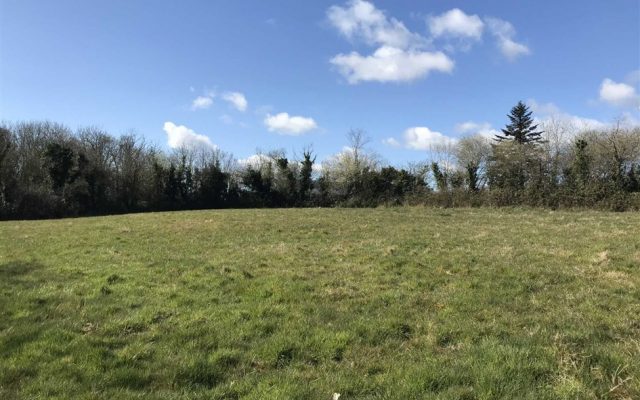 Ashwood Upper, Arklow, Co. Wicklow – Auction Report