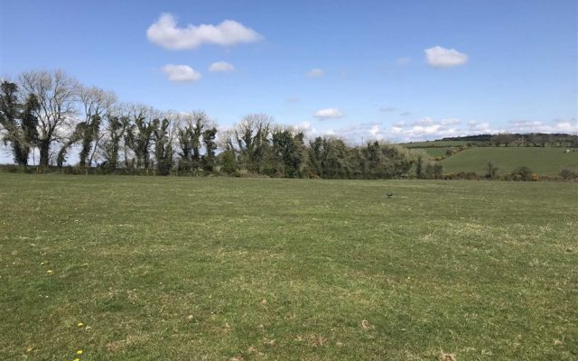 Knockduff, Monageer, Enniscorthy, Co. Wexford – Auction Report