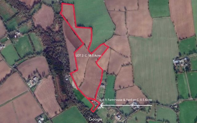 Ballinure, Marshalstown, Enniscorthy, Co. Wexford – Auction Report