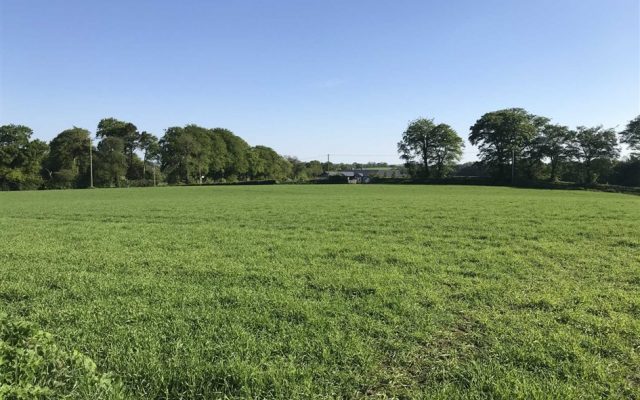 Killabeg, Scarawalsh, Enniscorthy, Co. Wexford – Auction Report