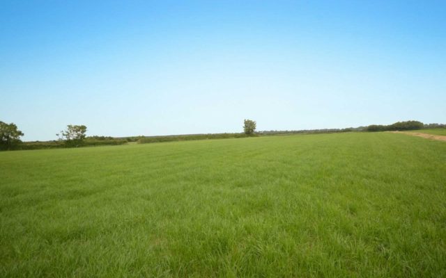 Moor, Killenagh, Gorey, Co. Wexford – Auction Report