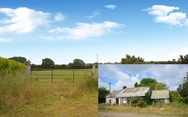 Askinamoe, Ferns, Enniscorthy, Co. Wexford- Auction Report