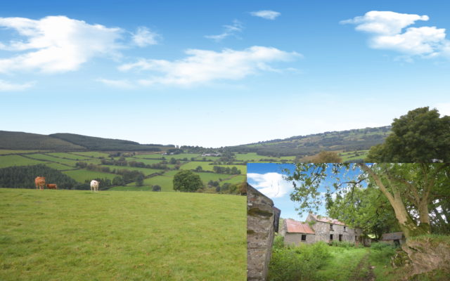 Moyne & Slieveroe, Tinahely, Co Wicklow- Auction Report