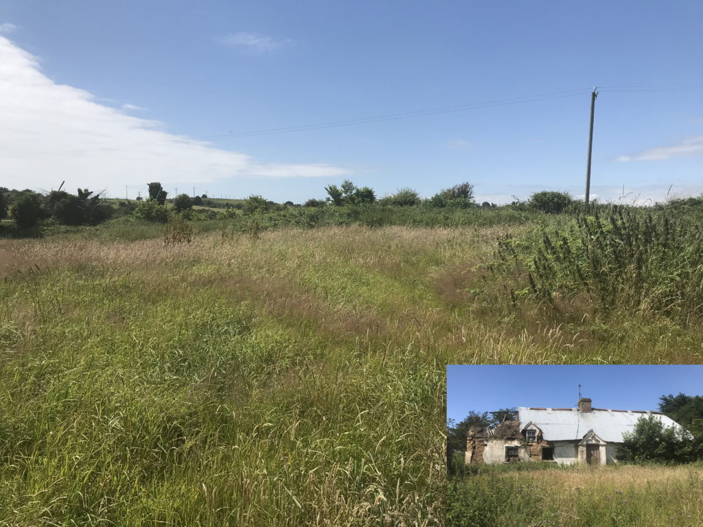 Ballyvaloo, Blackwater, Co. Wexford - Auction Report