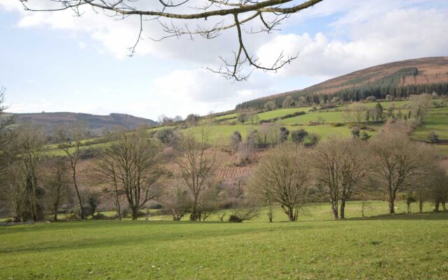 Coolafunshoge, Tinahely, Co. Wicklow – Auction Report