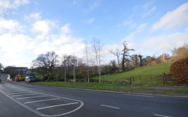 Ferns Upper, Ferns, Co. Wexford – Auction Report