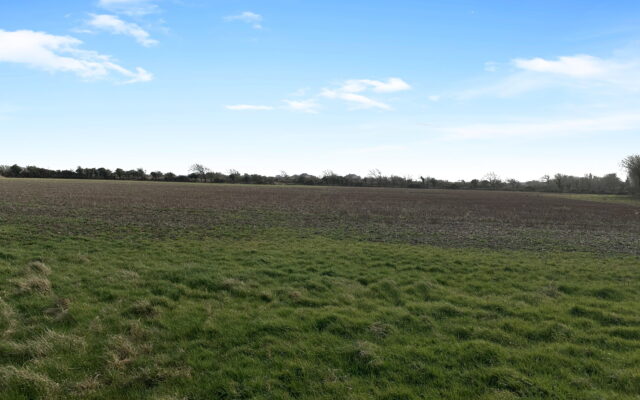 Belgrove, Duncormick, Co. Wexford – Auction Report