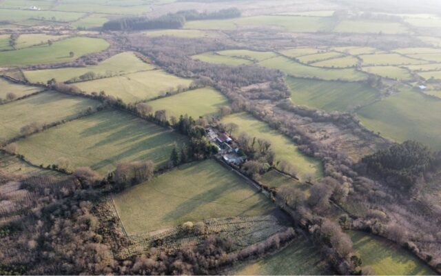 Knocknaboley, Tinahely, Co Wicklow – Auction Report