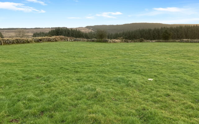 Knockanooker, Knockananna, Arklow, Co. Wicklow – Auction Report