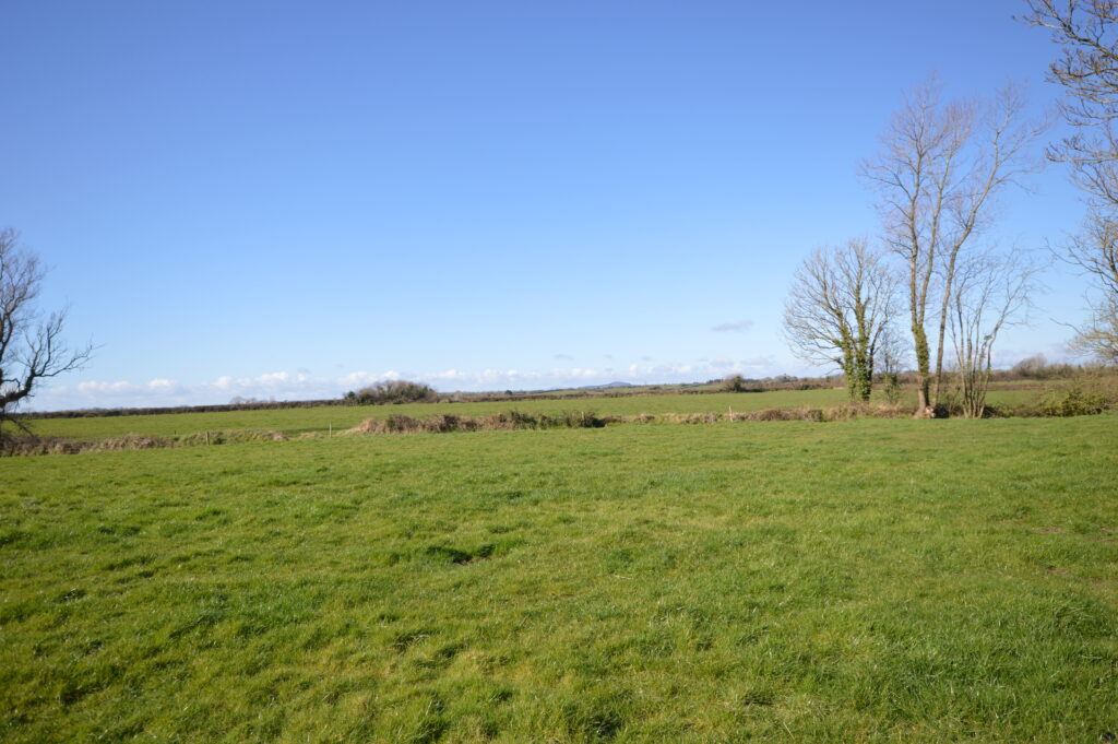 '52 acre roadside holding in Ballygarrett sells for €900,000 at auction'. Wexford People. 20/04/22.