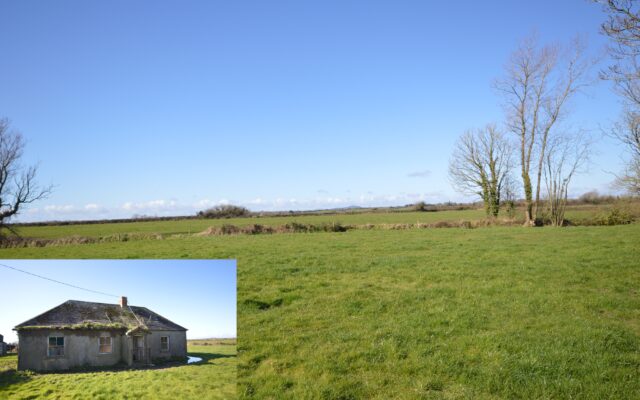 Parkannesley, Ballygarrett, Gorey, Co. Wexford – Auction Report