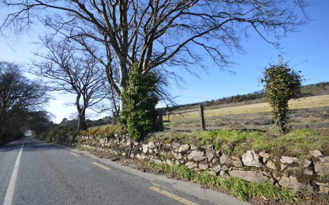 ‘Farms selling well at land auctions’. Irish Farmers Journal. 16/06/22.