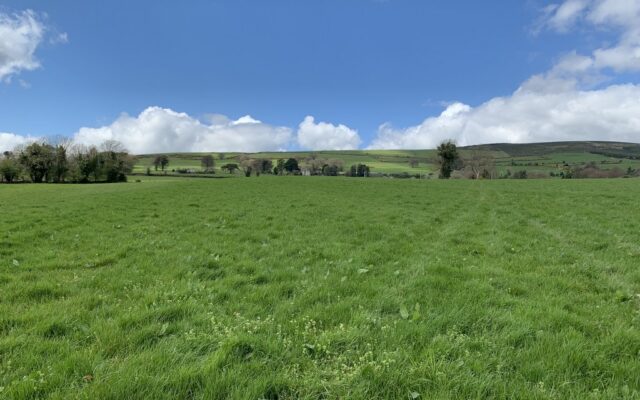 Ballyrahan, Tinahely, Co. Wicklow – Auction Report