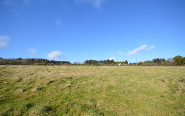 Skeeter Park & Bargy Common, Cleariestown, Co. Wexford – Auction Report