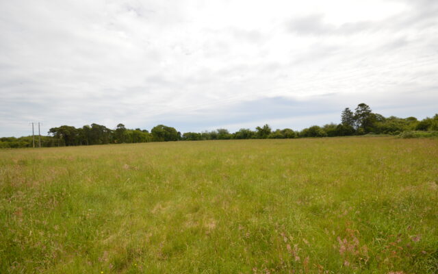 ‘Local dairy farmer doubles guide price at auction for €1m purchase of North Wexford farm’. Wexford People. 05/08/22.