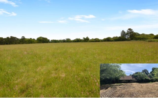 Ballykility Lower,Inch,Gorey, Co. Wexford – Auction Report