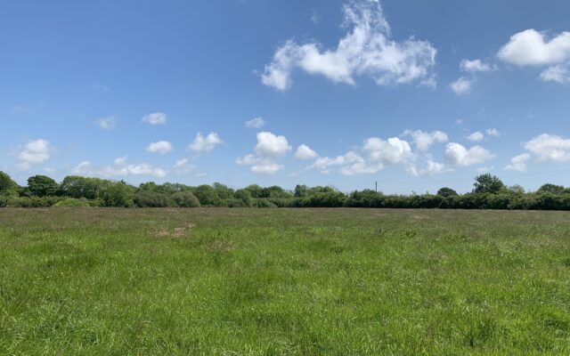 Ballyrea, Wells, Gorey, Co. Wexford – Auction Report